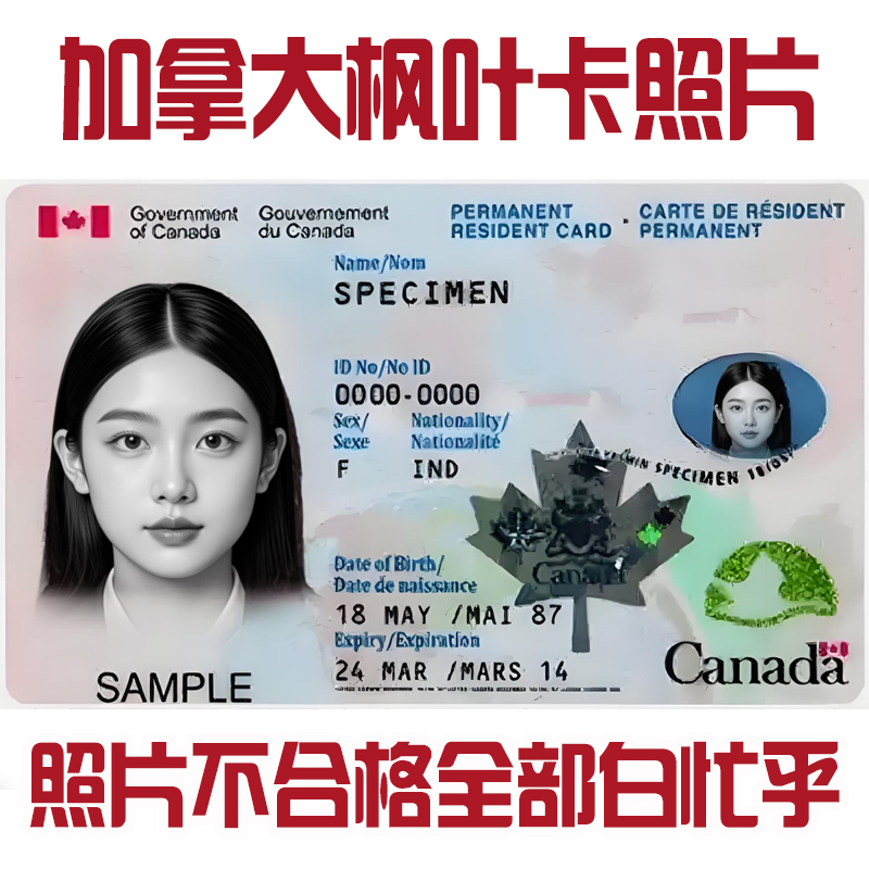 “pr card”的圖片搜索結果